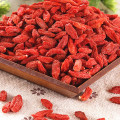 Goji de Mongolie intérieure